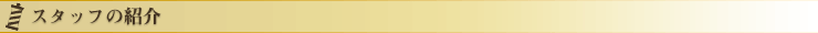 スタッフの紹介